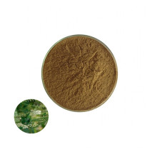 High quality natural organic powder black cohosh extract